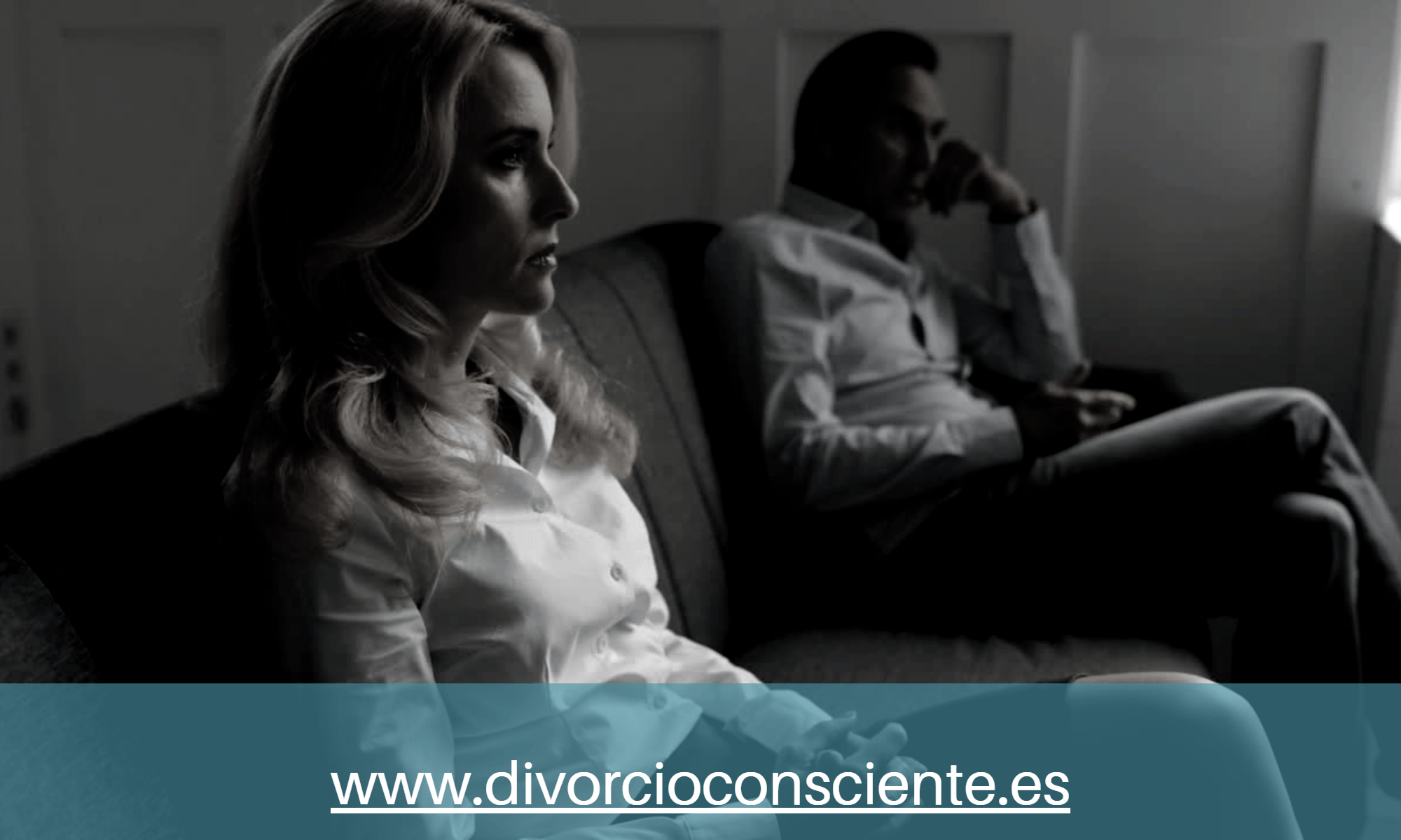 Ponerse de acuerdo: Cómo Manejar un Divorcio.