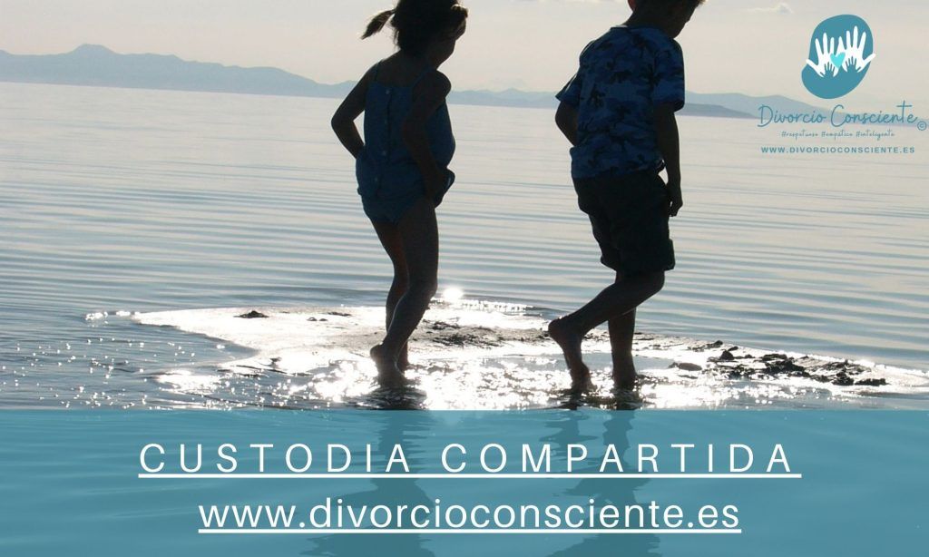Custodia Compartida