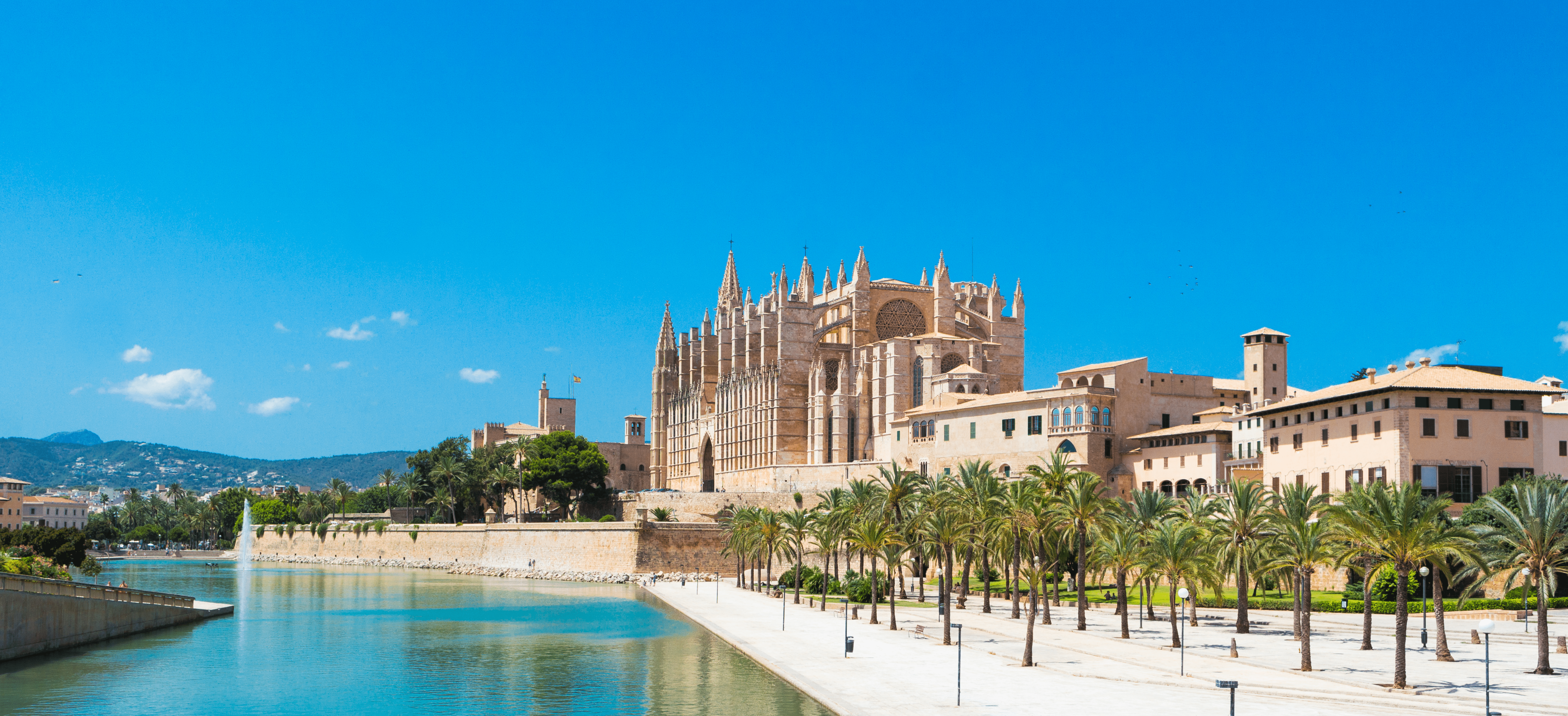 Mejores abogados de familia en Palma de Mallorca.